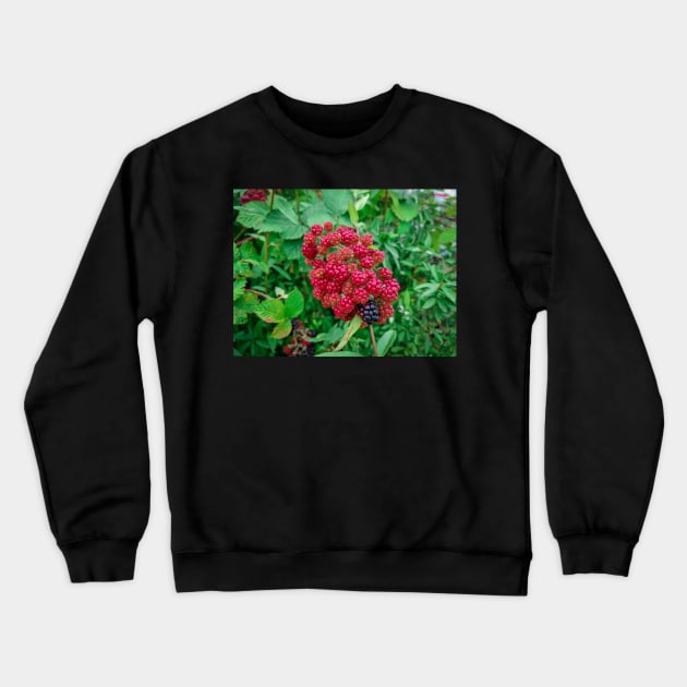 Wild Blackberries Crewneck Sweatshirt by Anastasia-03